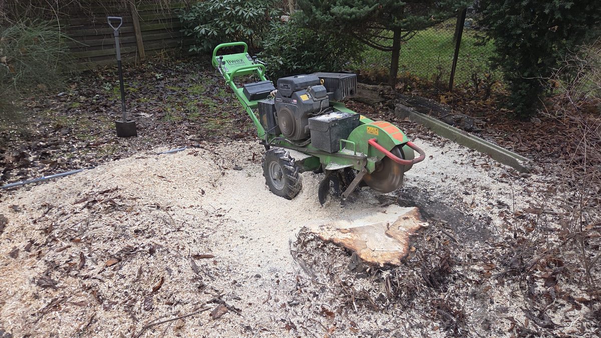 Frezowanie pnia w ogrodzie przydomowym